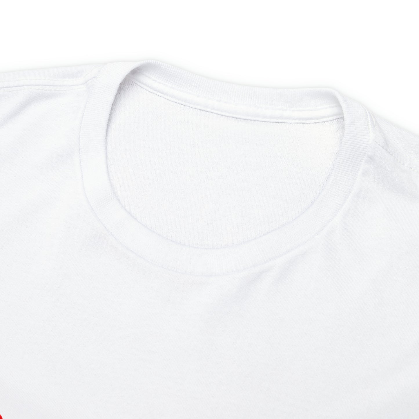 SDP Scarred Heavy Cotton Tee