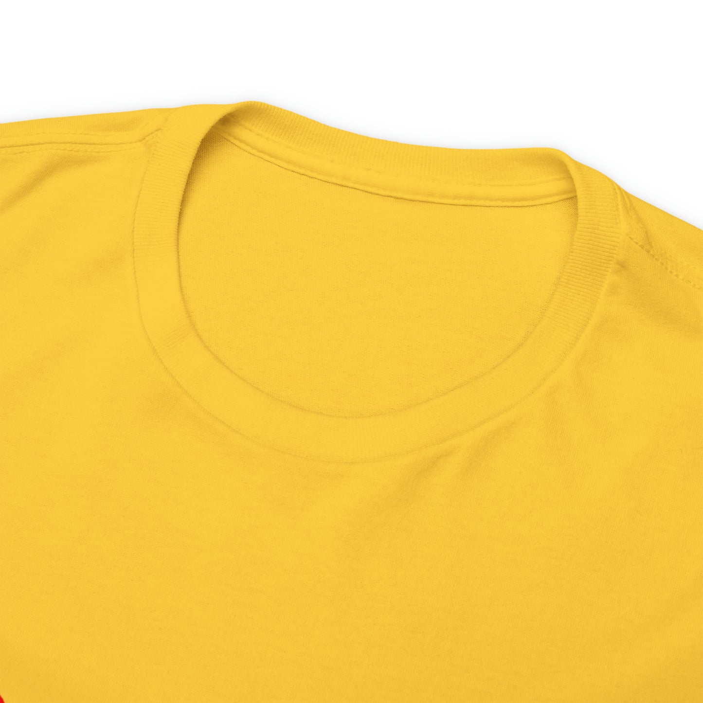 SDP Scarred Heavy Cotton Tee
