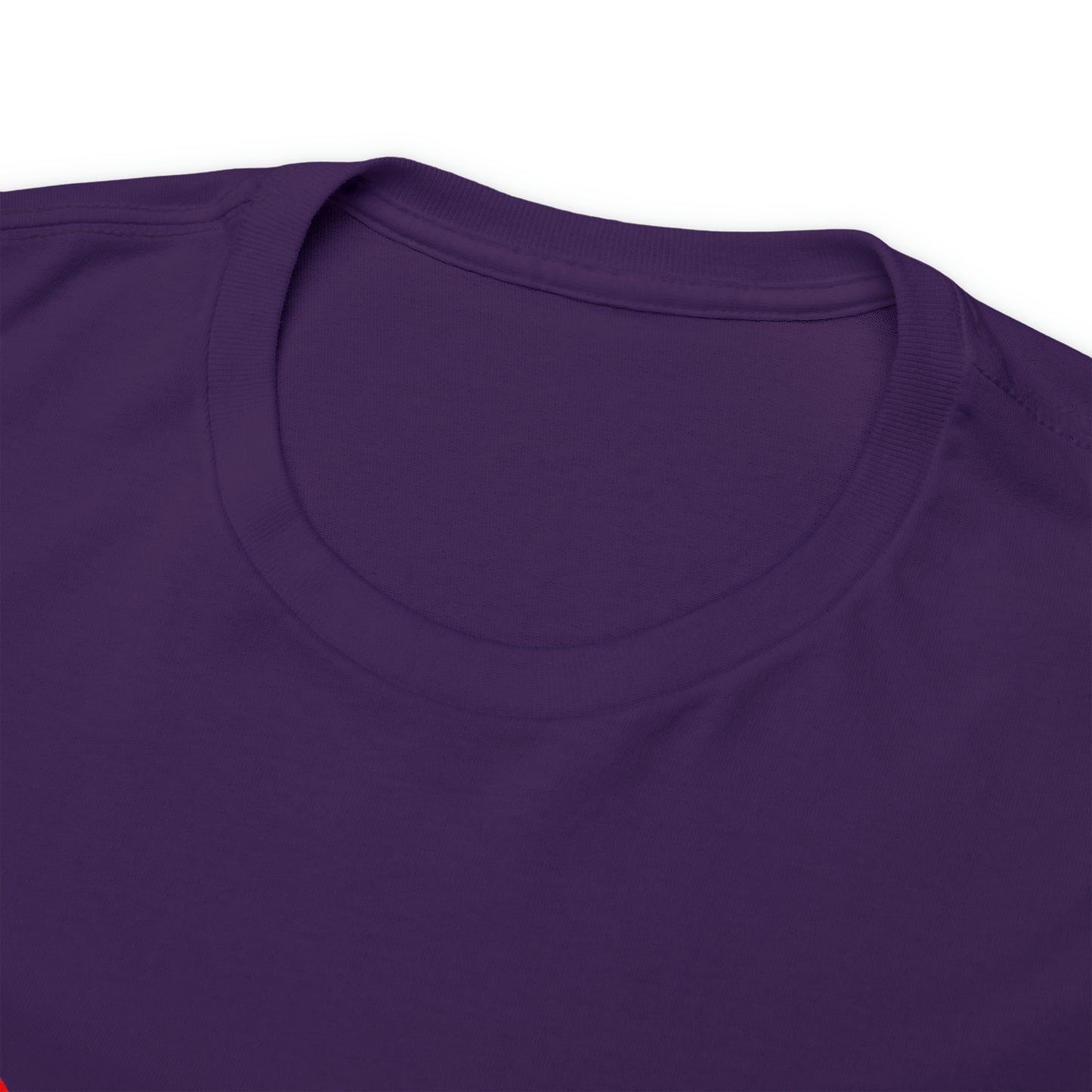 SDP Scarred Heavy Cotton Tee
