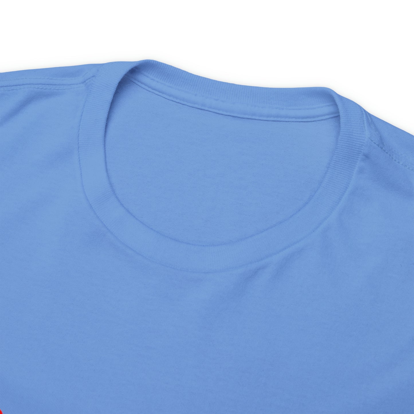 SDP Scarred Heavy Cotton Tee