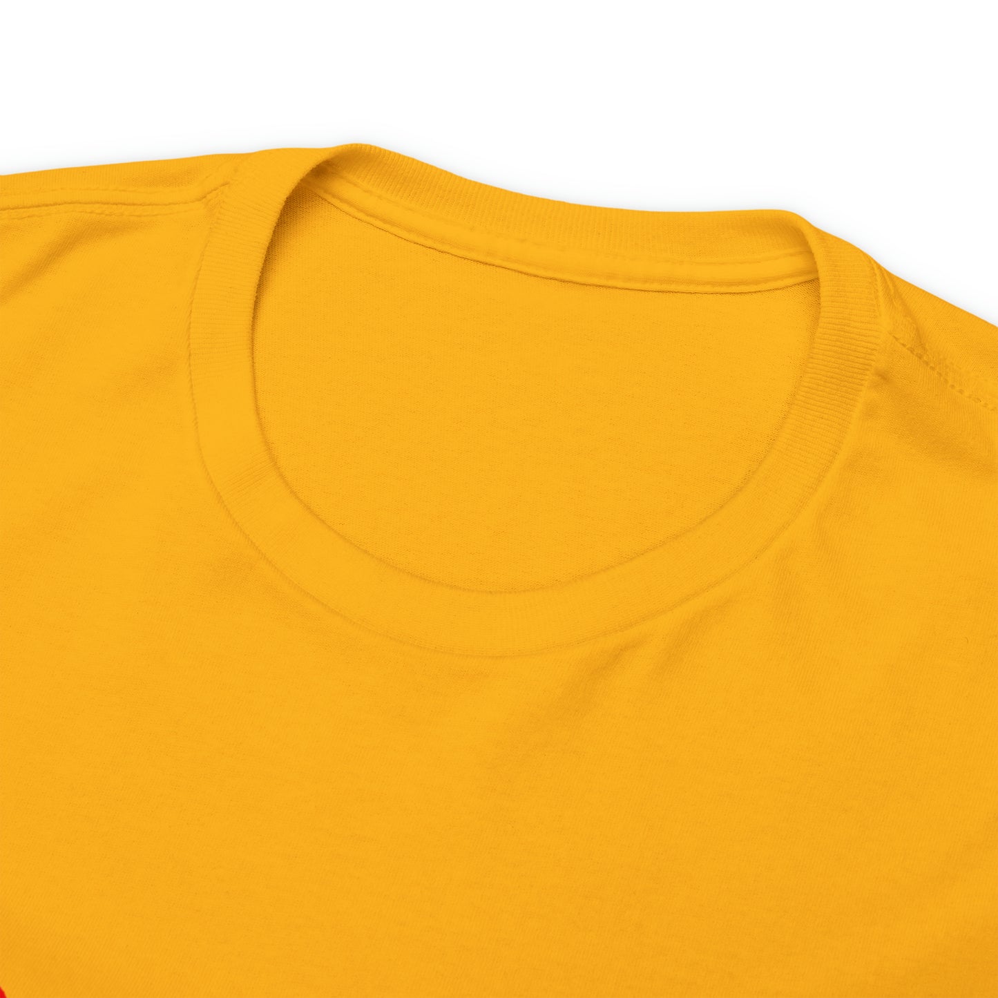 SDP Scarred Heavy Cotton Tee